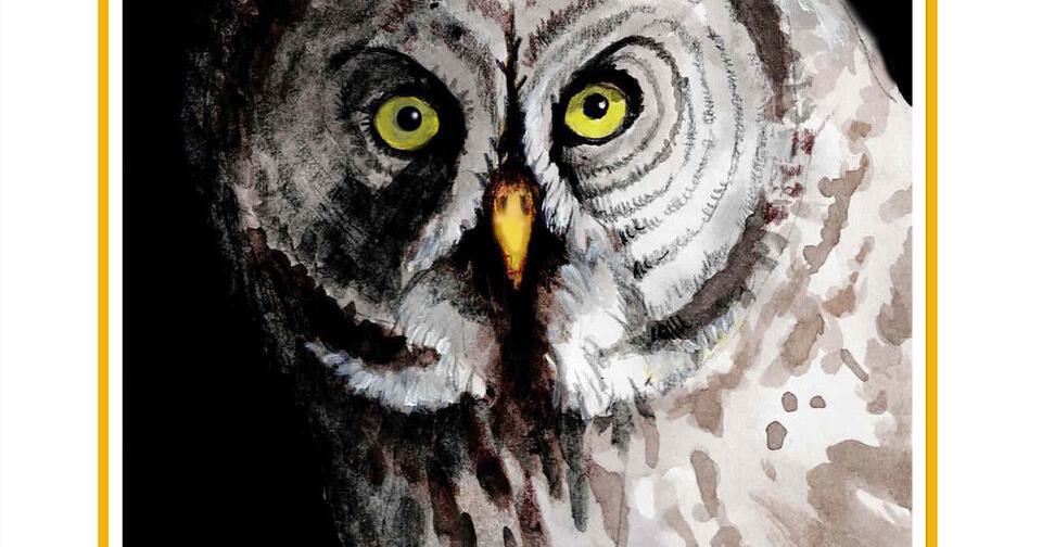 The Outside Story: Phantoms of the north, great gray owls