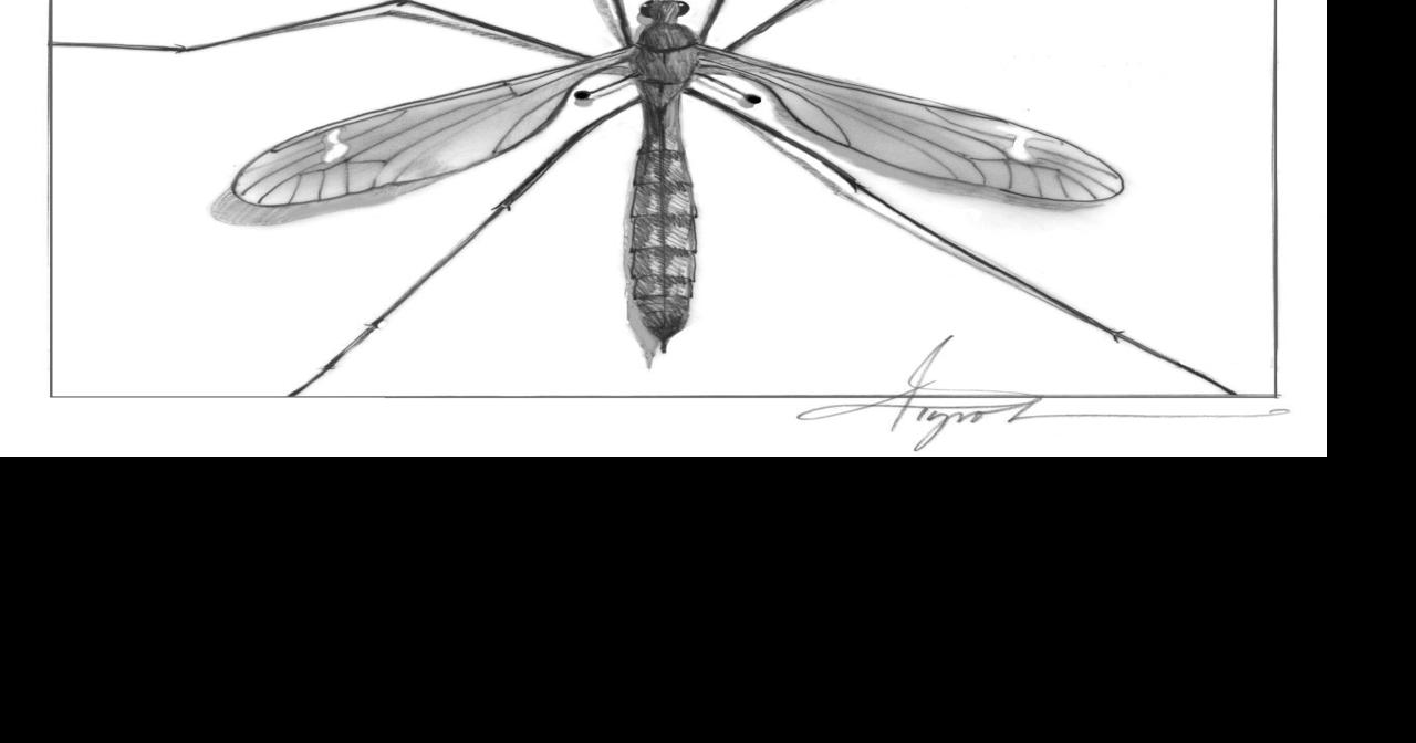The Outside Story: Fly flight control | Weekend Magazine ...