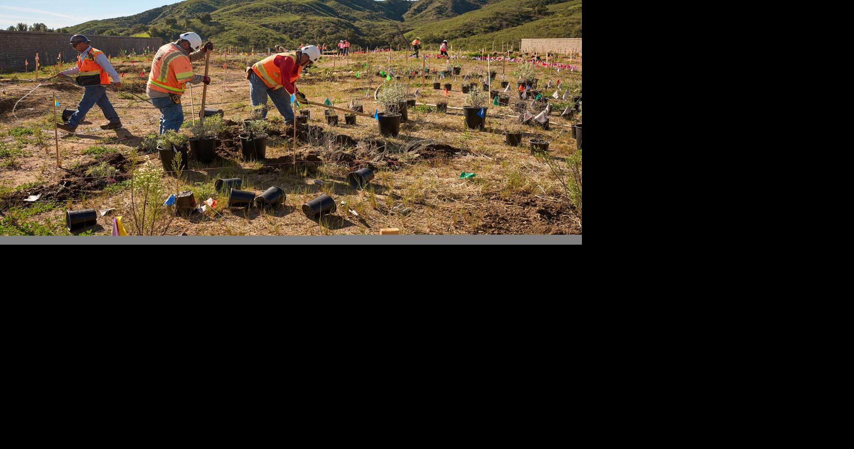 California Wildlife Crossing