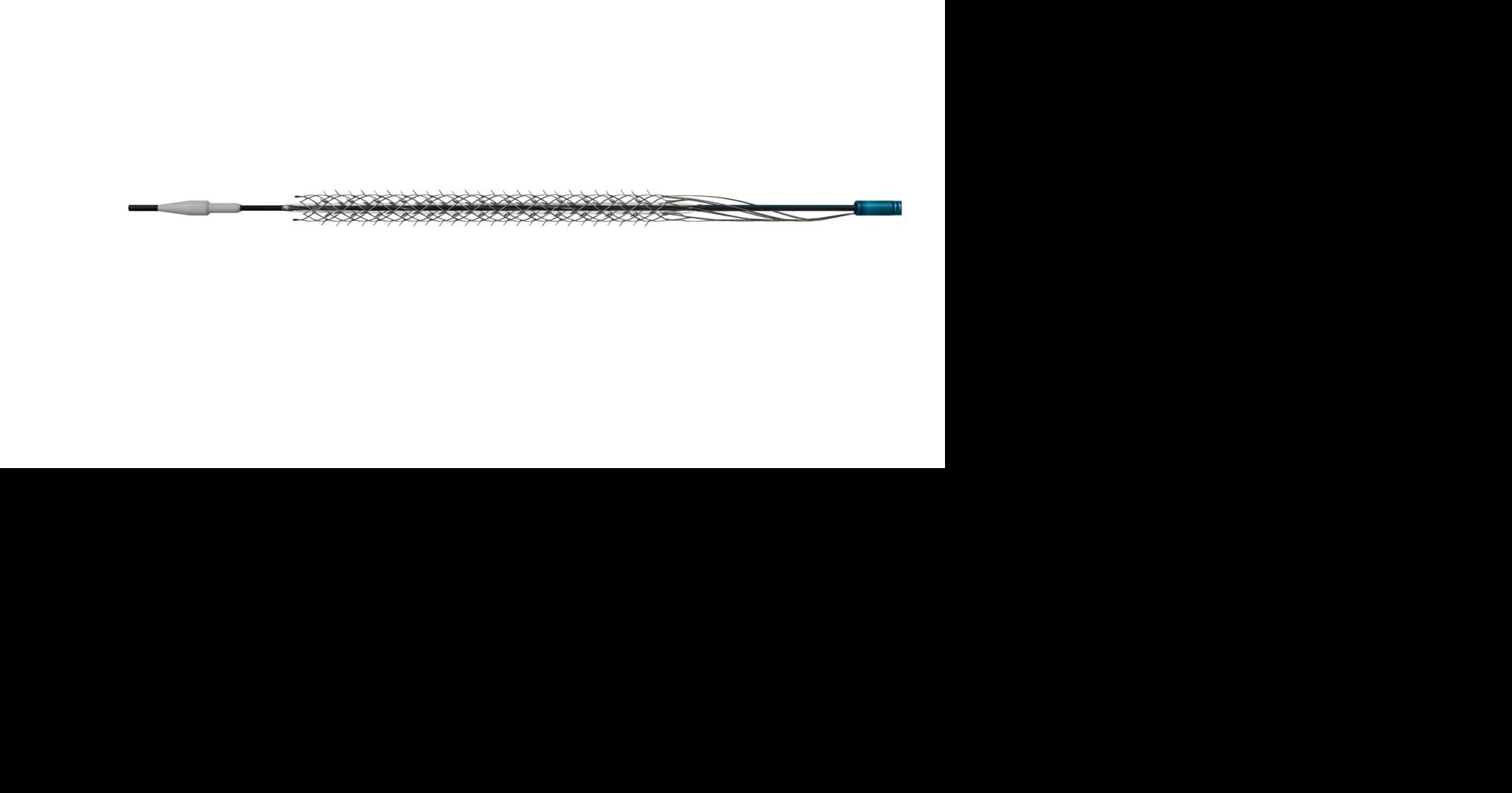 Reflow Medical Announces 12-Month Results from DEEPER REVEAL Trial: Sustained Outcomes with the Spur® Stent System in CLTI