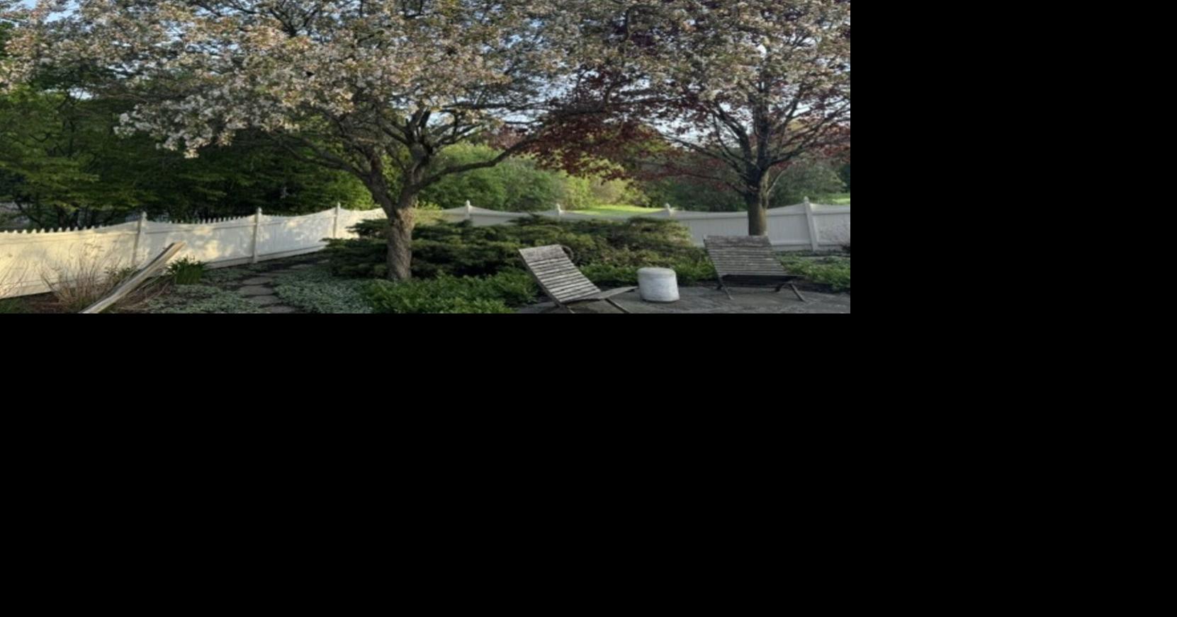 UVM Extension: Trees, glorious trees! | Weekend Magazine ...