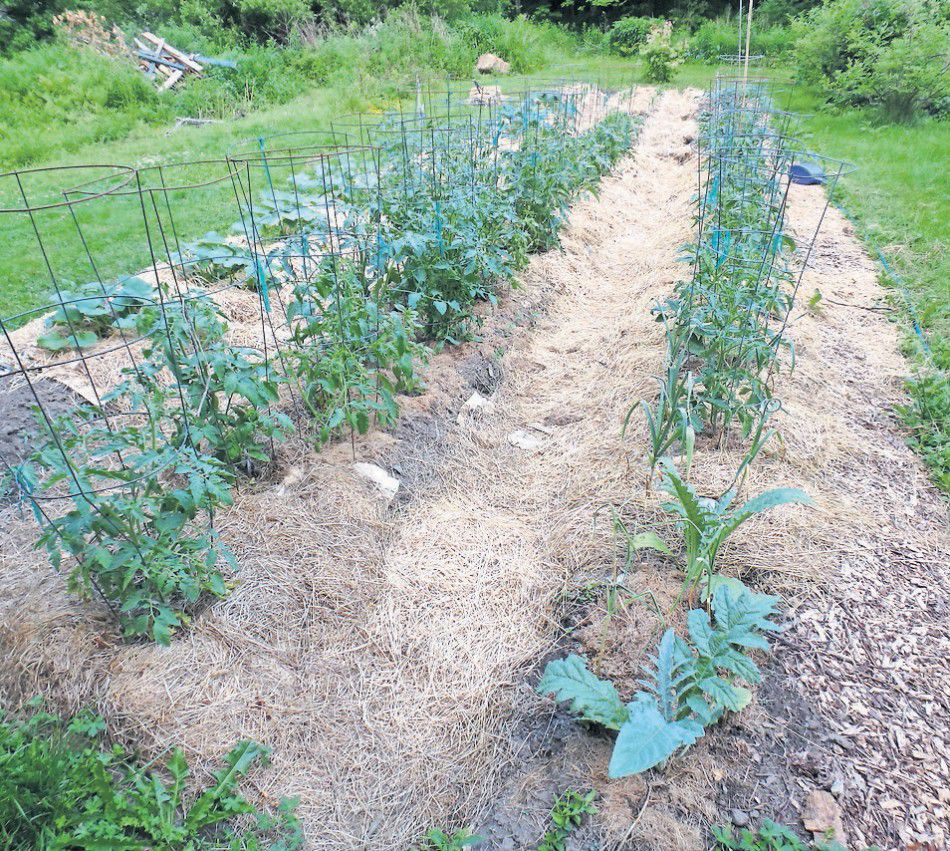 MULCHING Hay, straw and more
