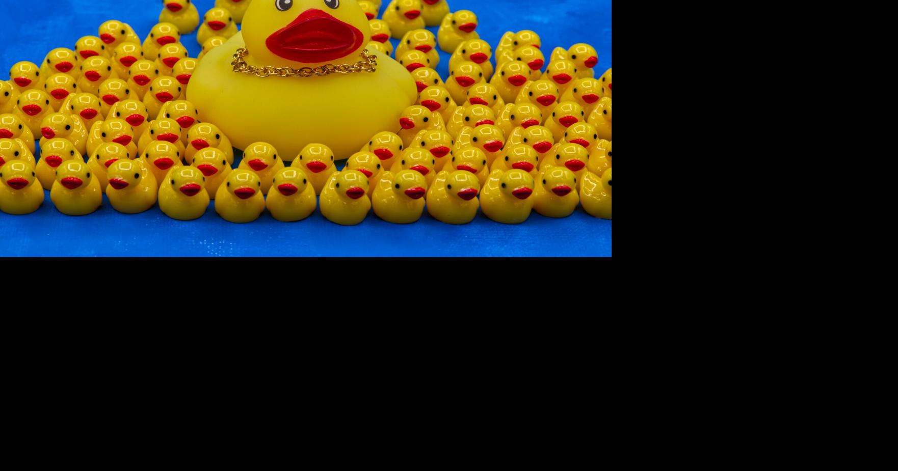 America 250 Objects Rubber Duck | Ap | rutlandherald.com