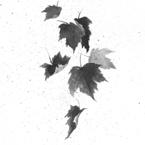 Asset-image