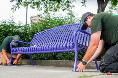 Memorial benches pulled from park