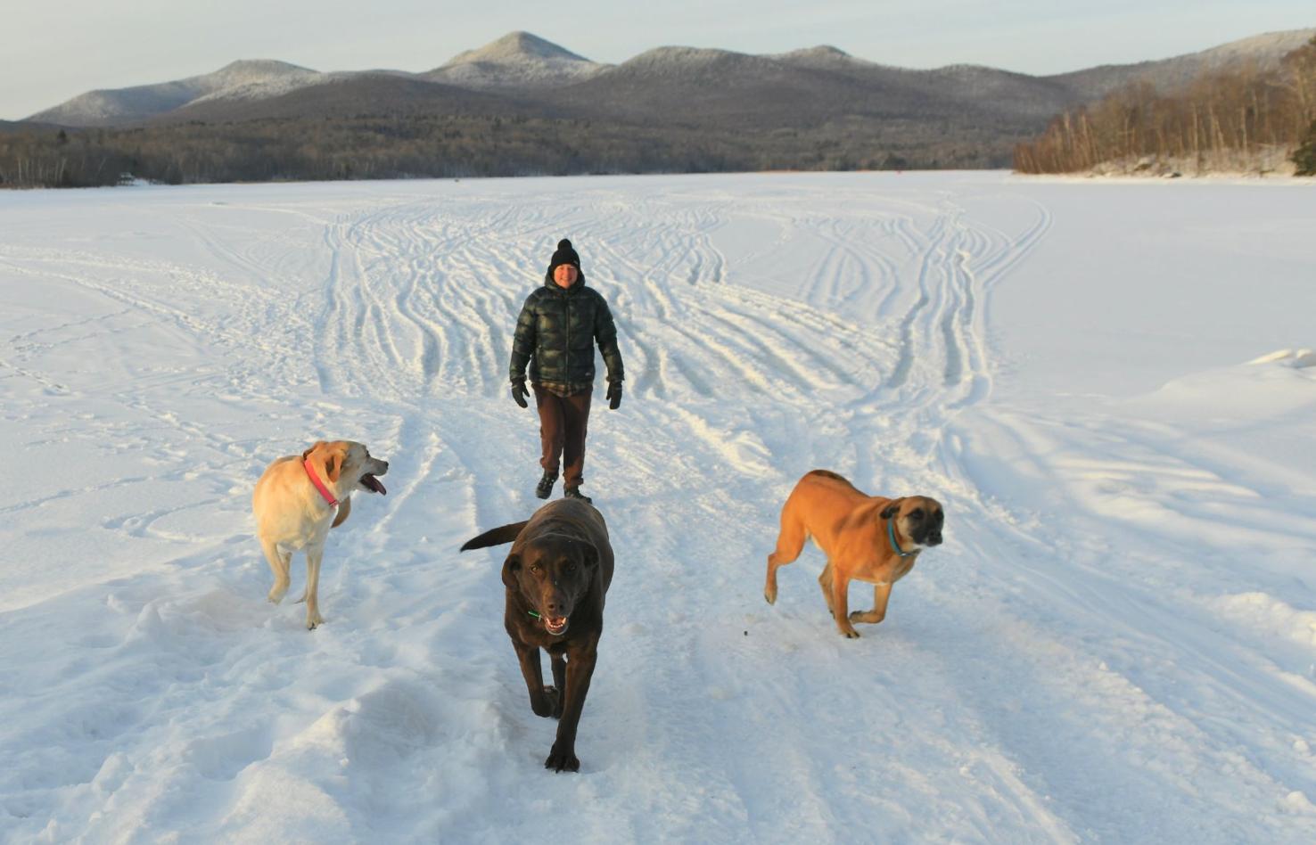 Dogs on ice Local Photos