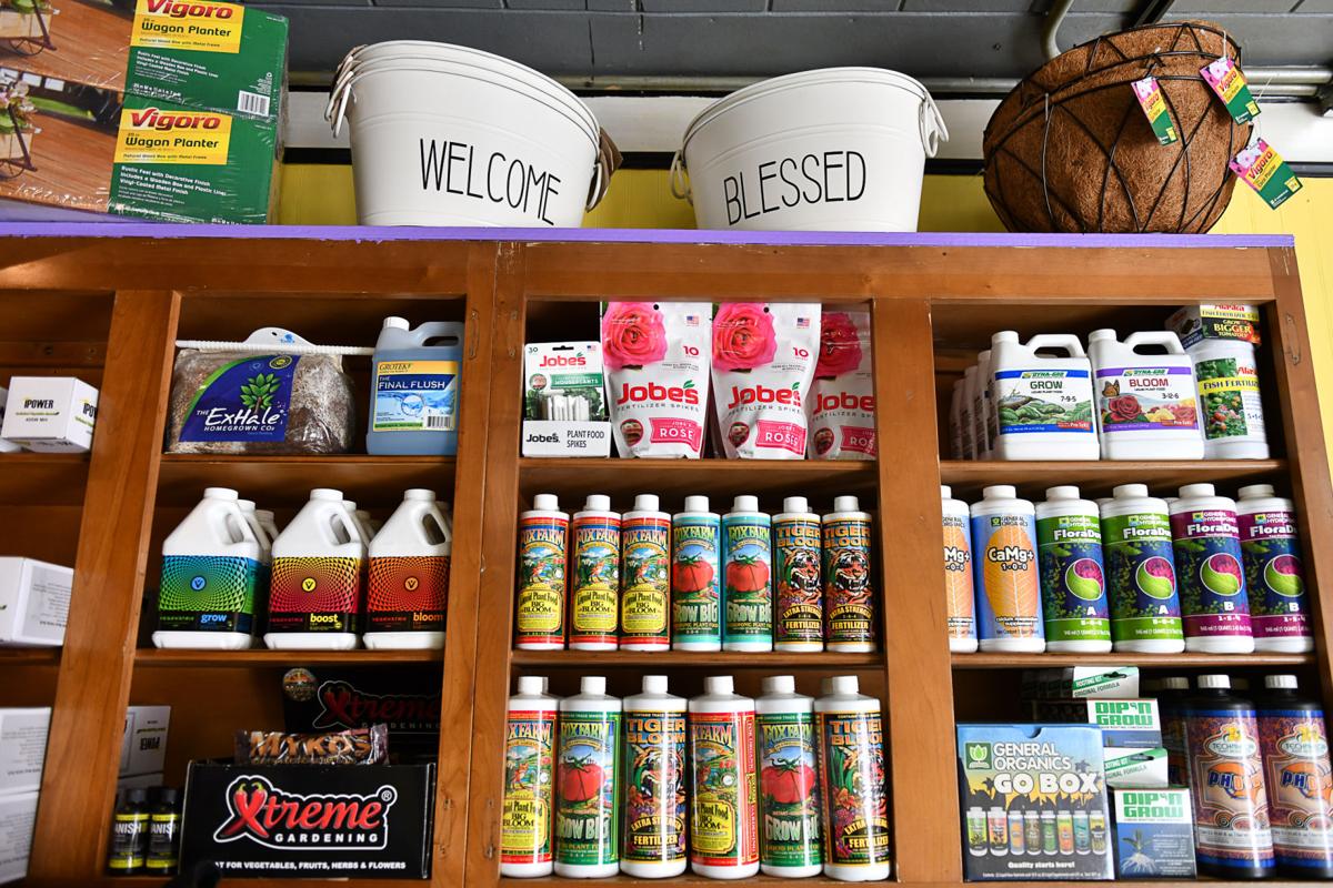 Grow Vermont has more than pot in mind News