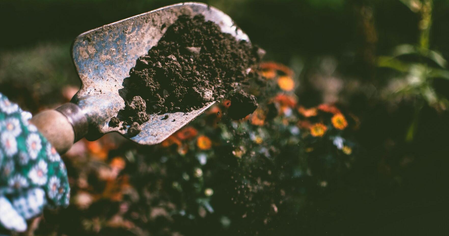 UVM Extension: Screening garden soils for lead - Vimarsana News