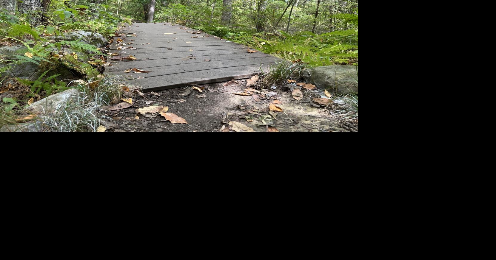 Year in Review: 2025, an eventful year for Vermonters