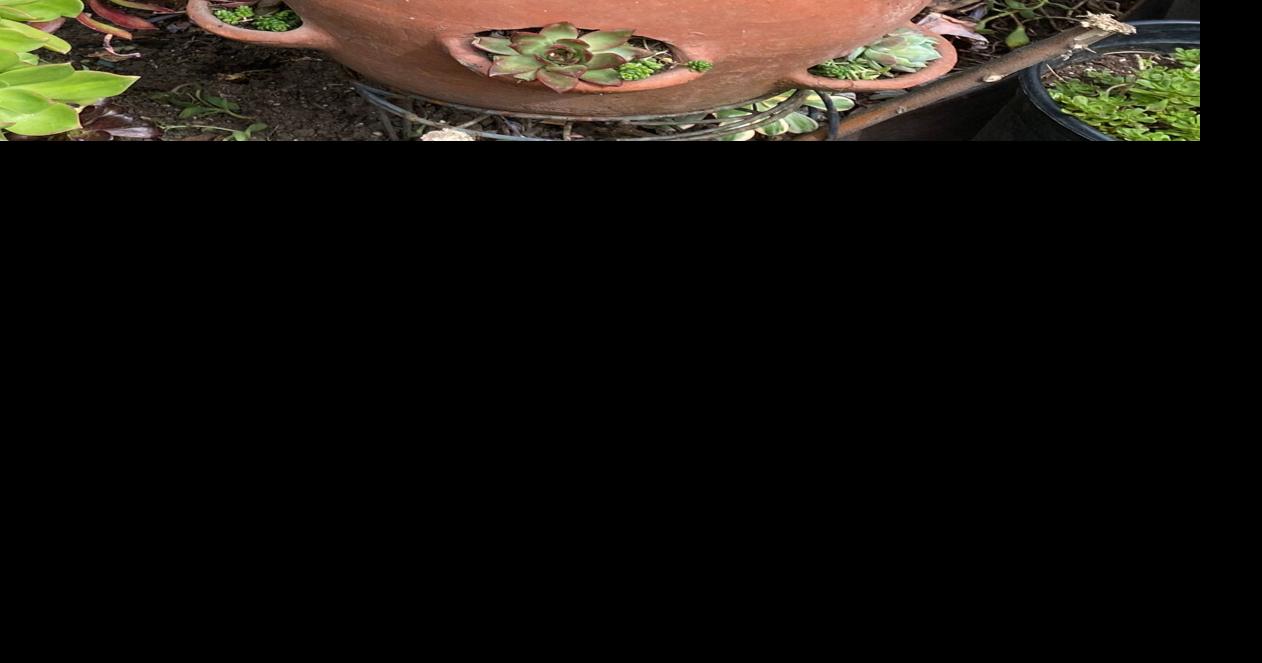 Gardening - Strawberry Pots