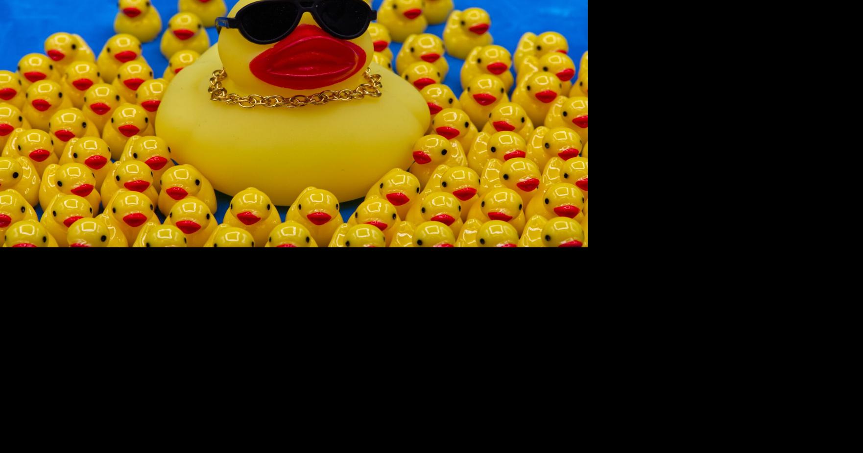 America 250 Objects Rubber Duck | Ap | rutlandherald.com