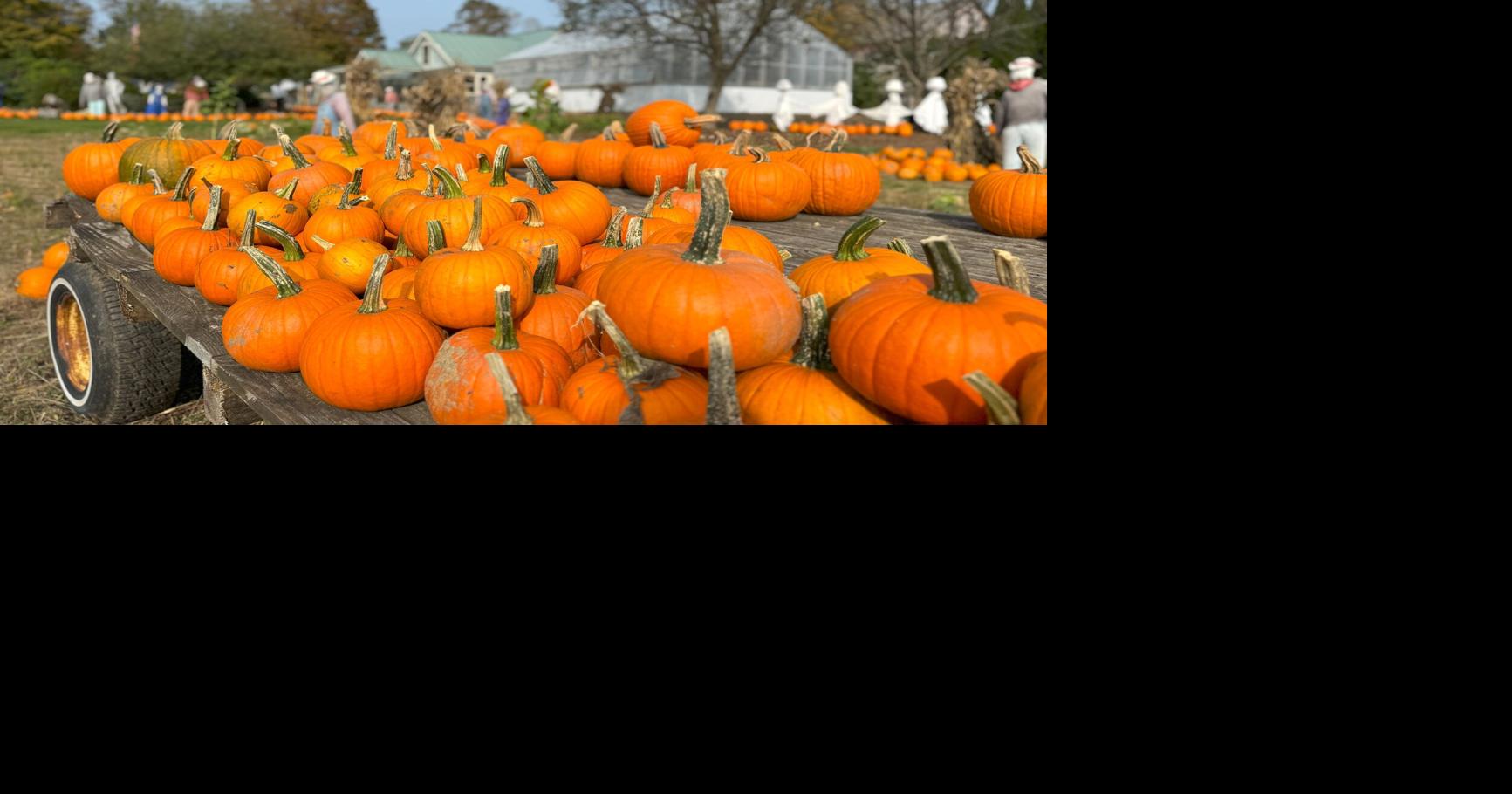 Rutland Herald Community News for Oct. 7, 2025 Community