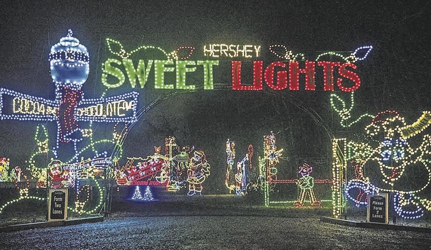 Brookfield Zoo Lights Schedule Shelly Lighting