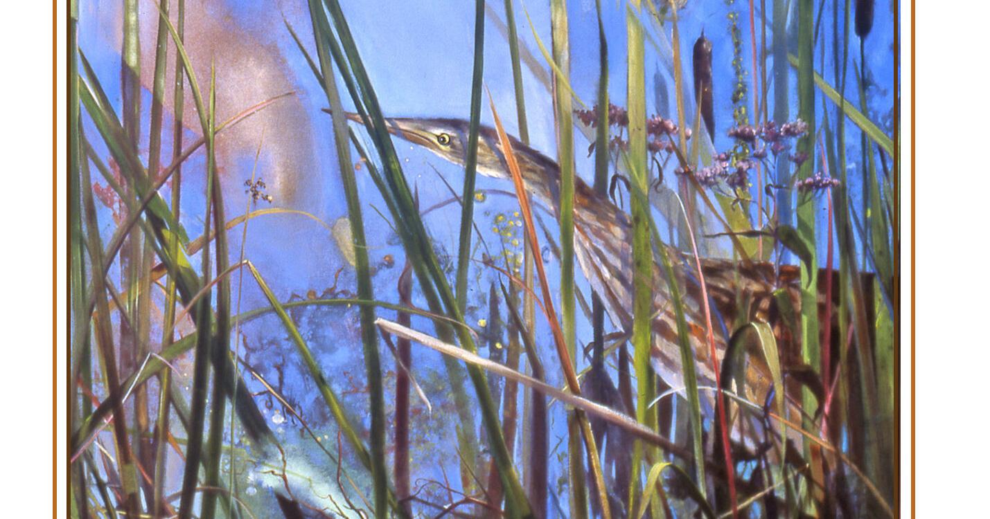 The Outside Story: Stalkers of the shallows - Vimarsana News