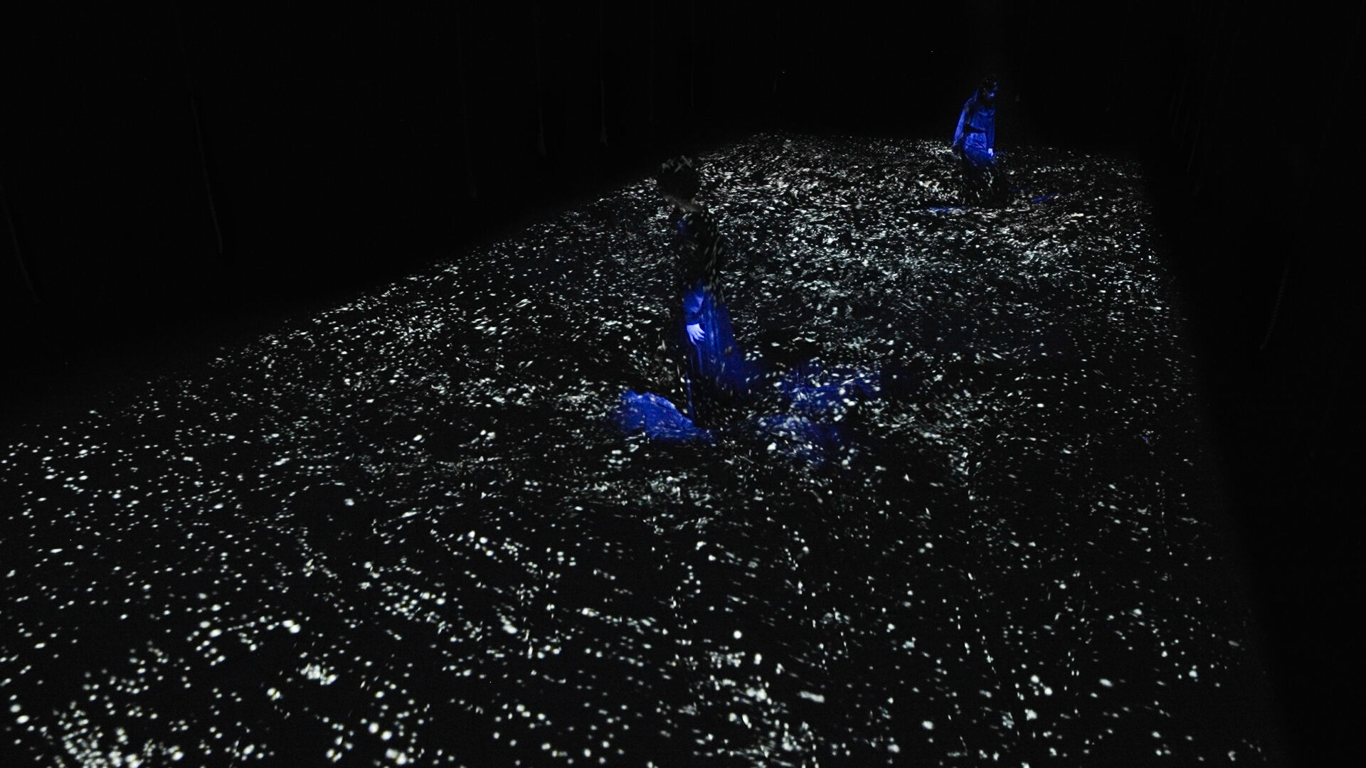 Body of Waves, a New Artwork Only at teamLab Planets TOKYO
