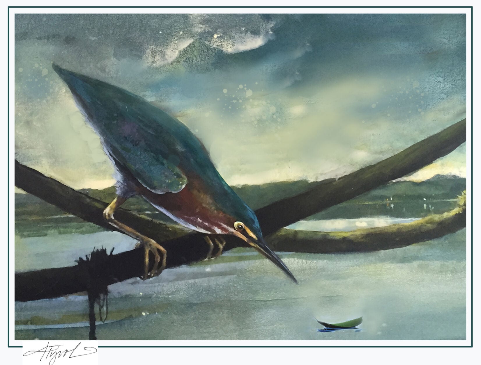 The Outside Story: Avian tool use not so bird-brained | Weekend ...