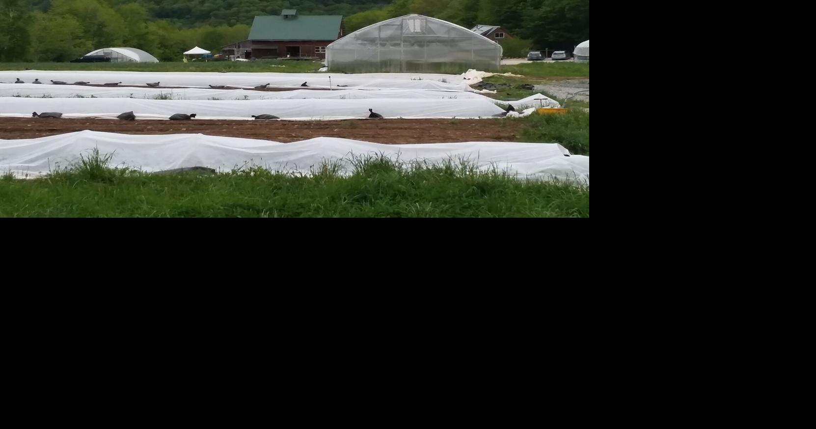 UVM Extension: Keys to safe, sustainable gardening