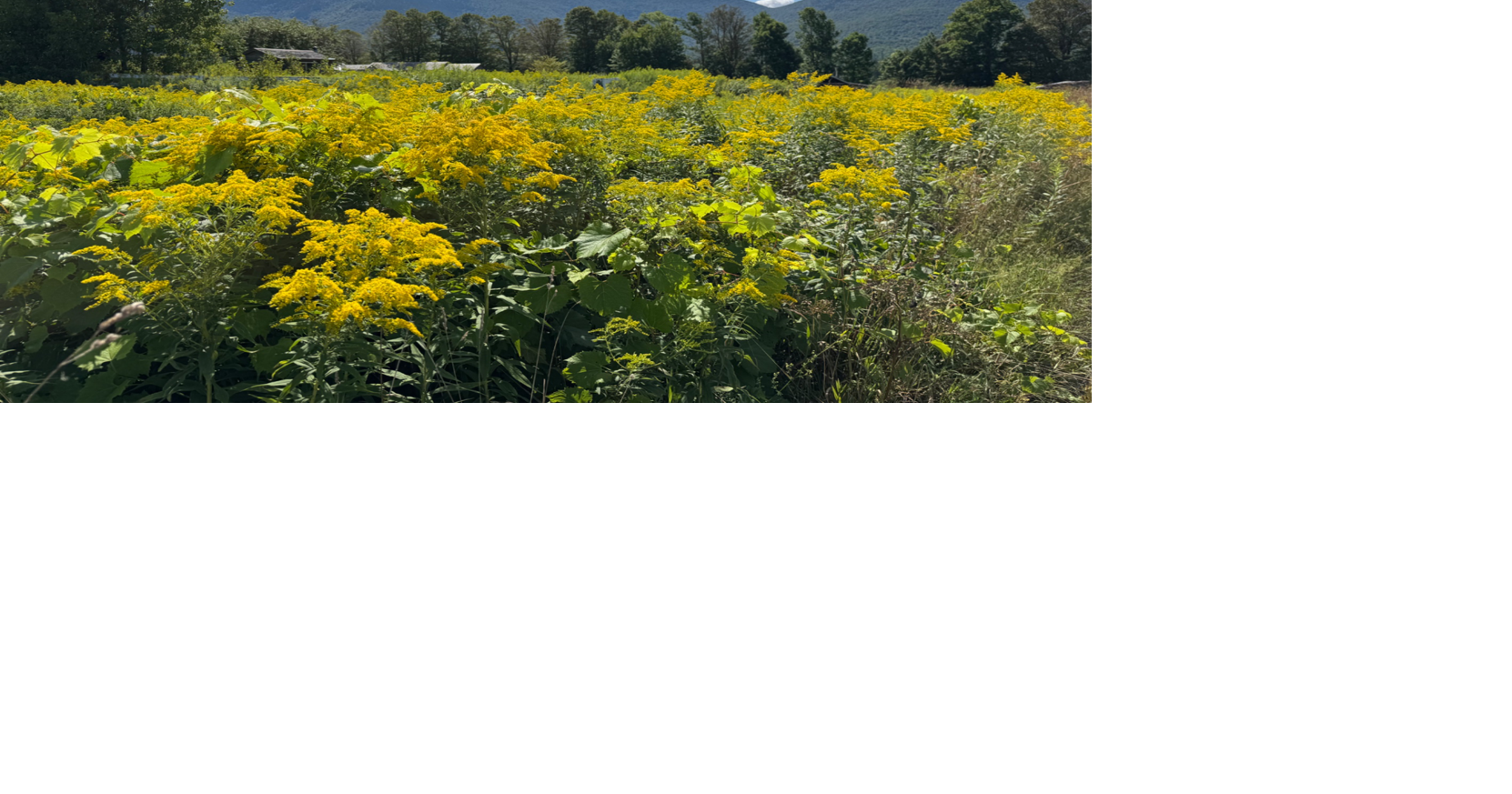 Rutland Herald Obits Past 3 Days