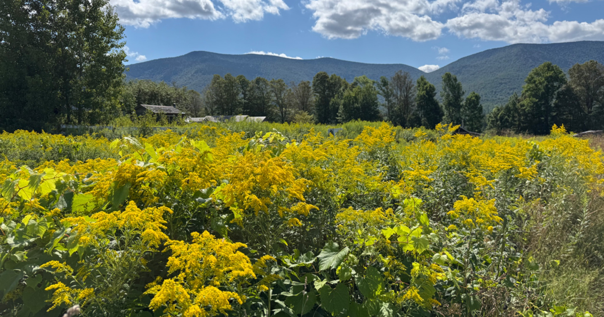 Rutland Herald Obits Past 3 Days