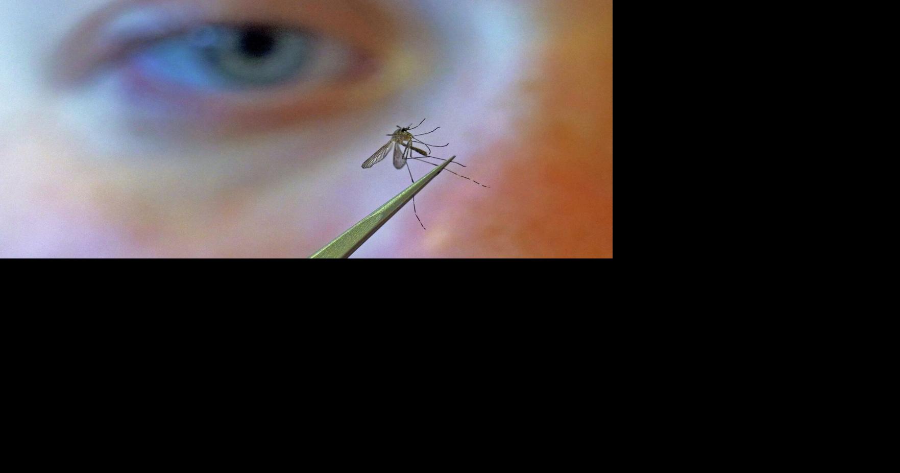 West Nile Virus