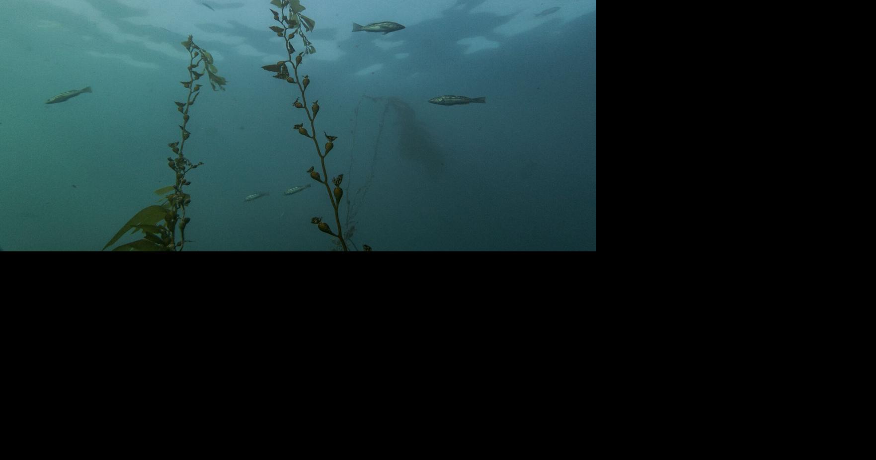 Climate High Seas Treaty What to Know