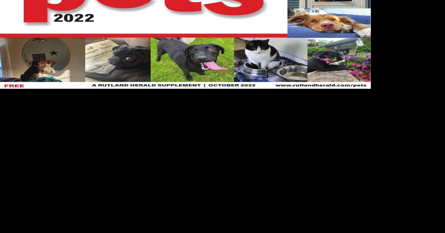 Pets 2022 Niche Publications