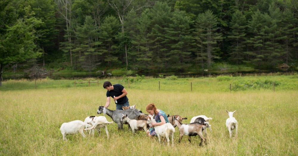 Agritourism brings second income to Vermont farmers