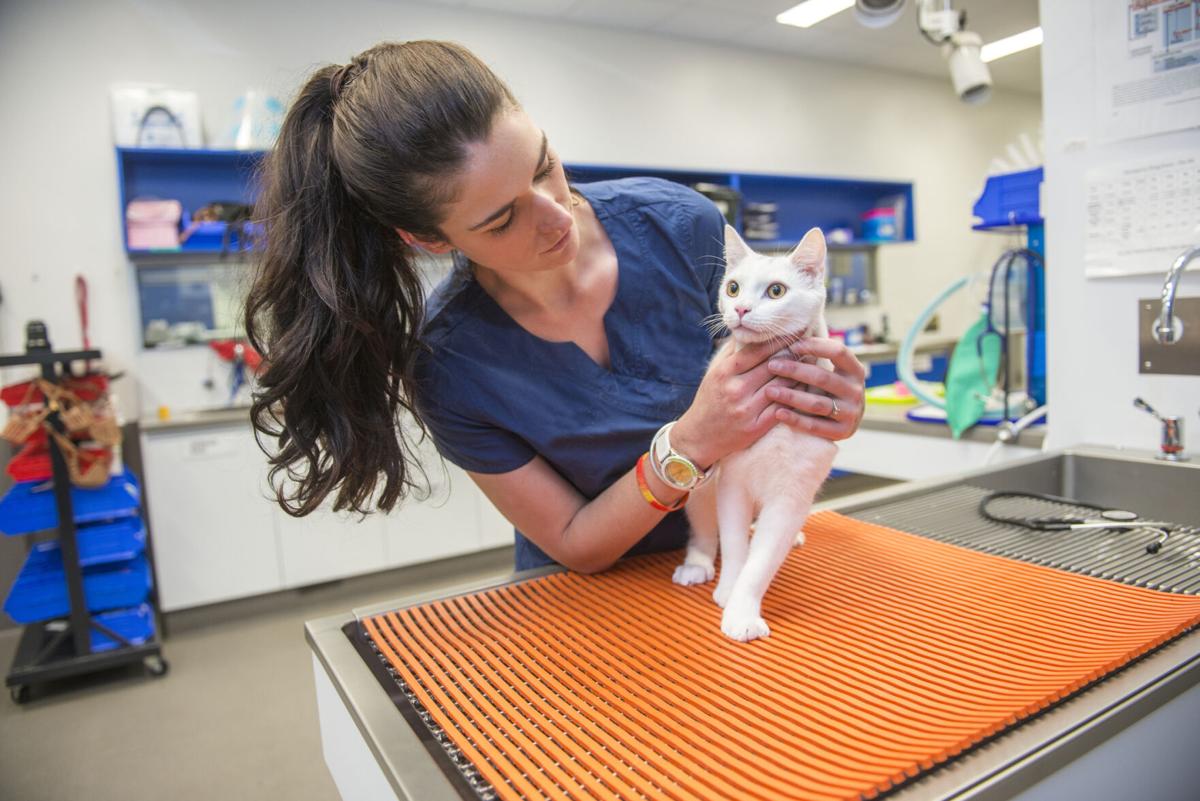 According to the American Pet Products Association, Americans spent nearly $36 billion in veterinary care, surgical procedures, medication and other products through vet clinics in 2022.