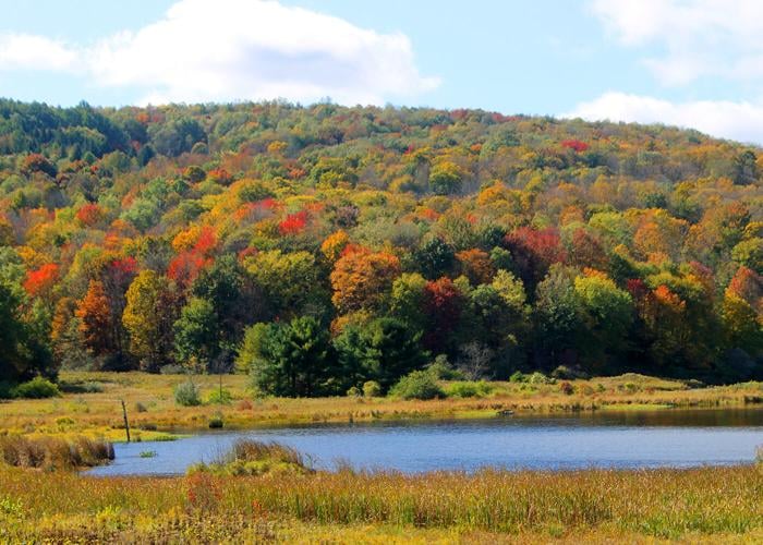 Big weekend for leaf peeping in our region News