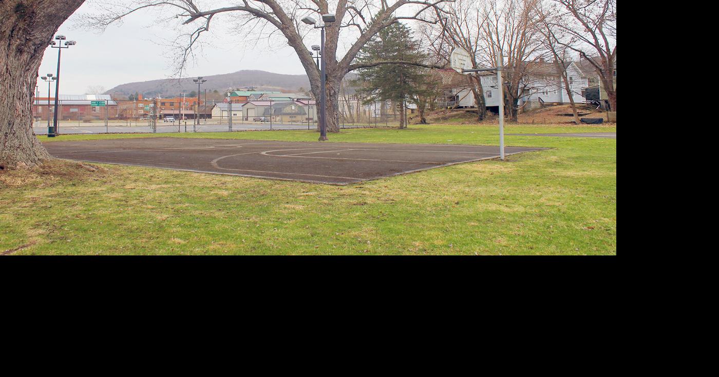 Salamanca, Senecas pursuing dog park project in city | News