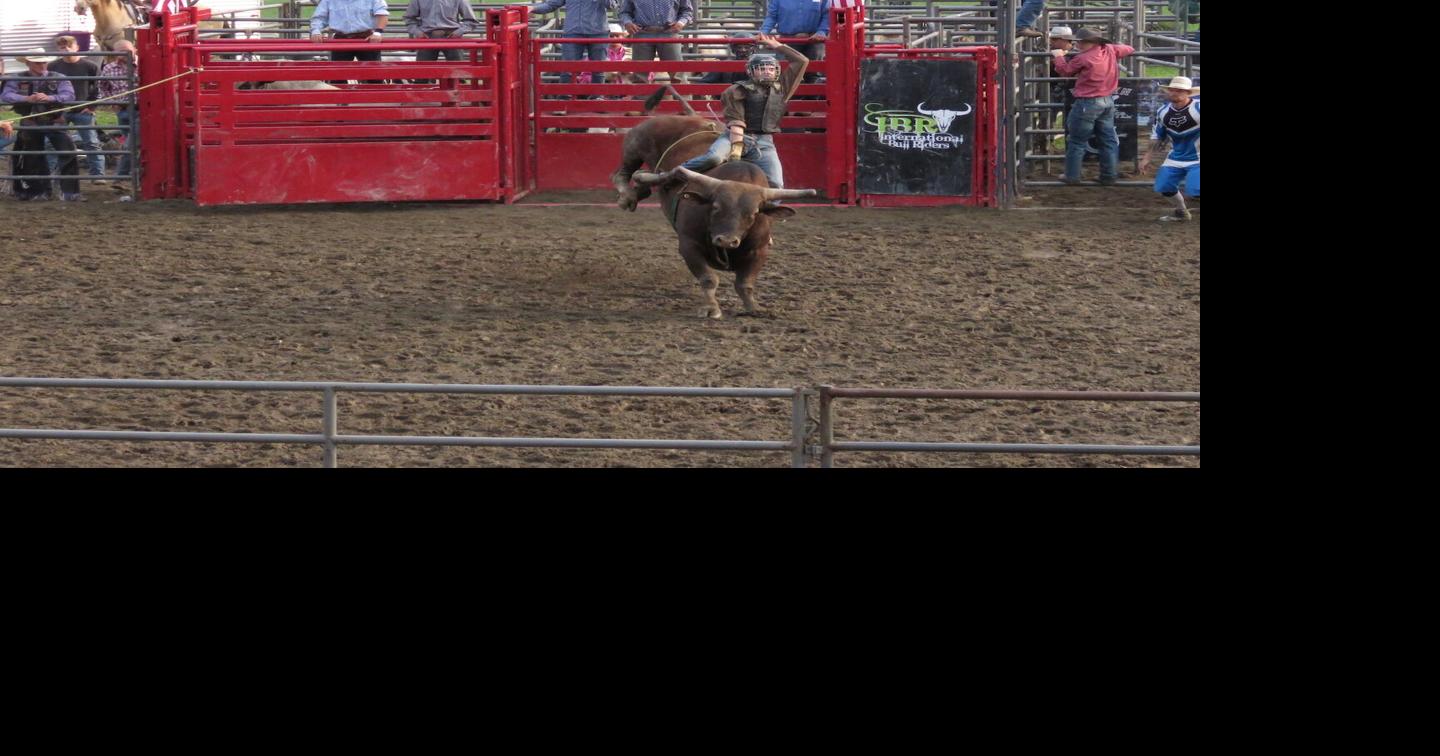 Catt County Fair opens; rodeo provides thrills News