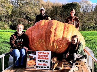 Little Valley man’s giant pumpkin is North American Champion