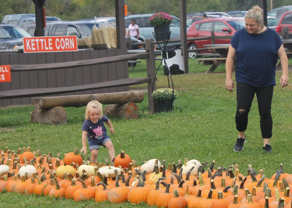Pumpkinville Opening Day 2018