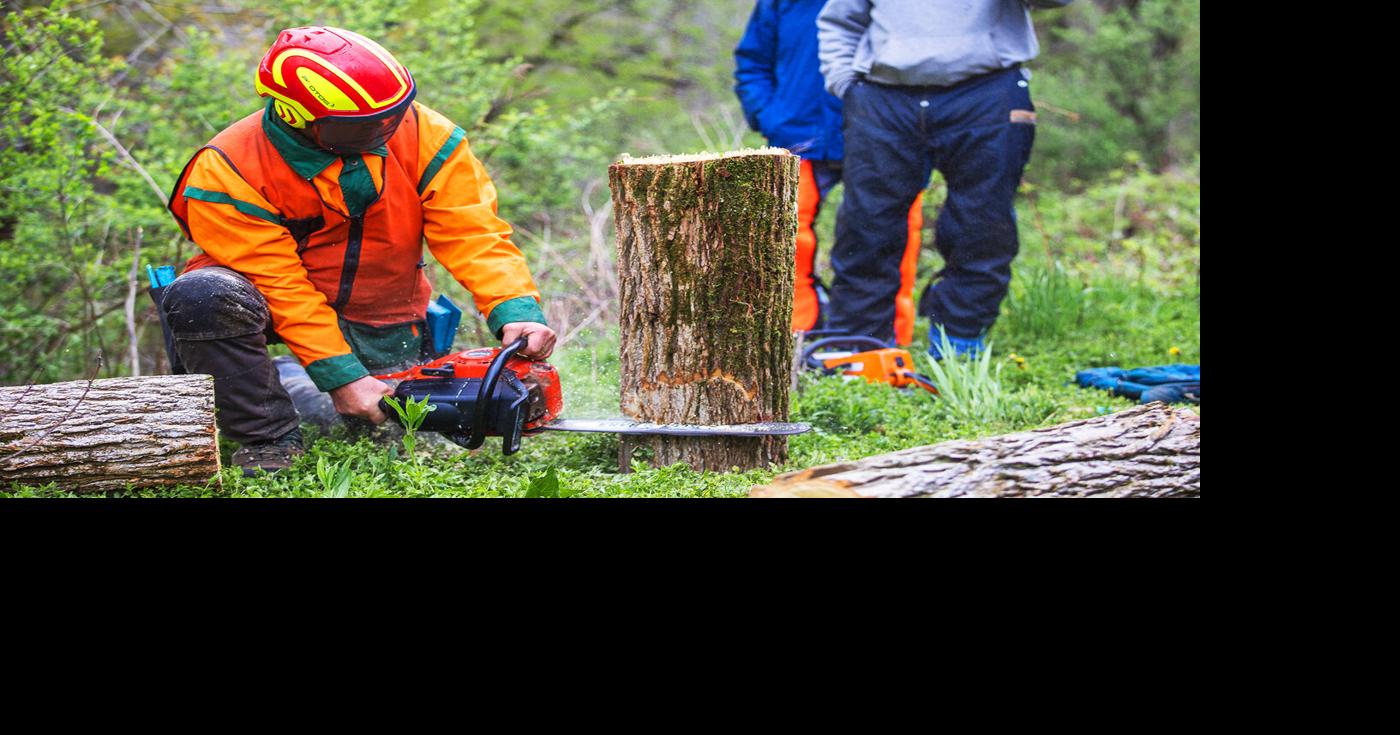 CCE of Cattaraugus County to host chainsaw safety certification course