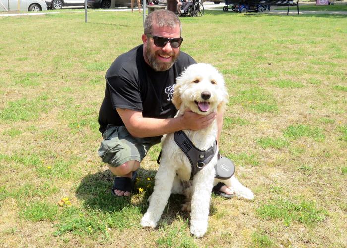 Dog Show Peelman Goldendoodle.JPG