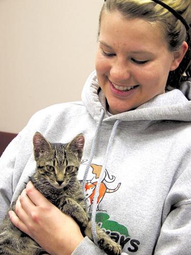 Friends of Strays are dedicated to care and rescue of unwanted and mistreated pets | News Friends of Strays are dedicated to care and rescue of unwanted and mistreated pets | News
