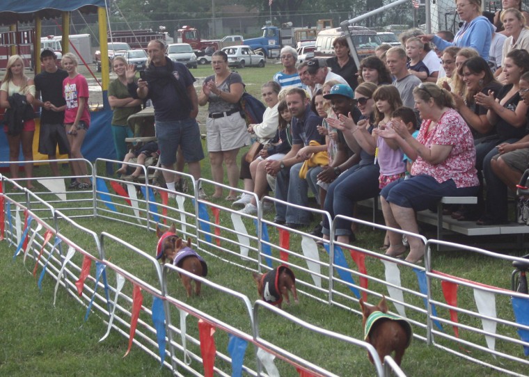 2012 Cattaraugus County Fair Gallery