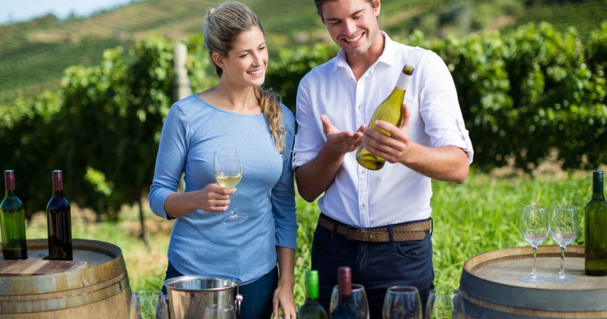 Drink it in: The growth of global wine tourism