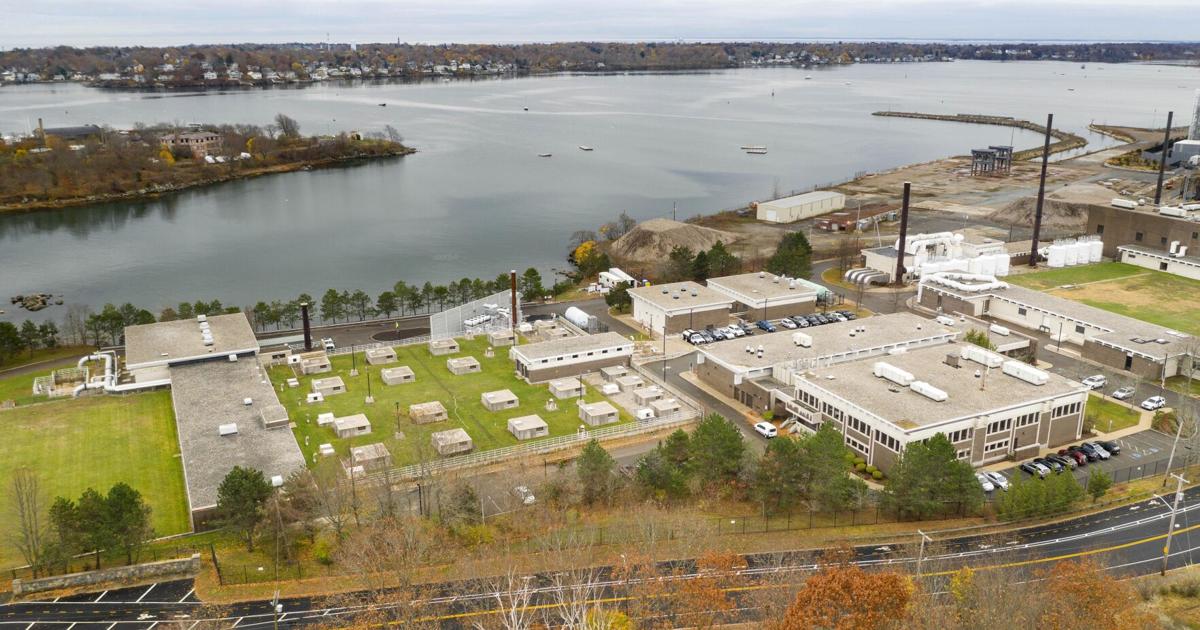 SESD launches updated website to promote environmental awareness | News SESD launches updated website to promote environmental awareness | News