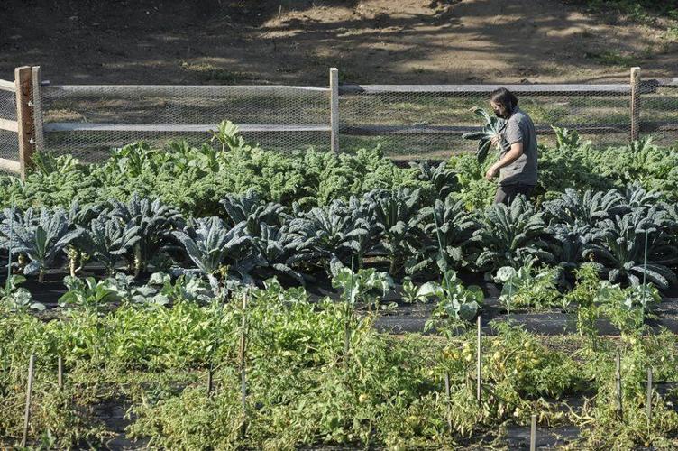 Berry hill irrigation coupon