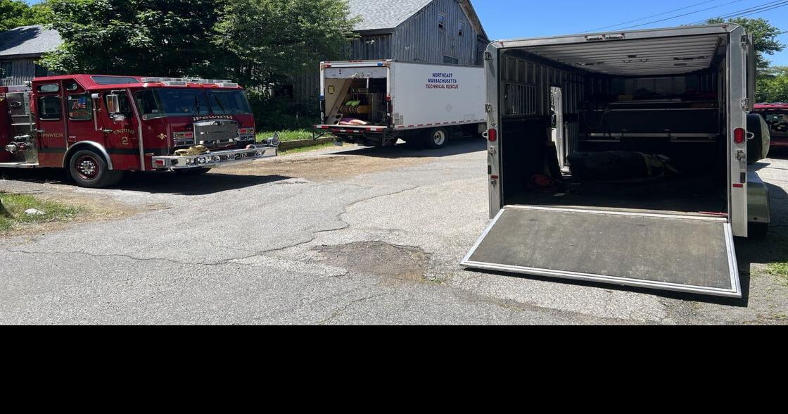 Horse rescued after stable floor partially gave way