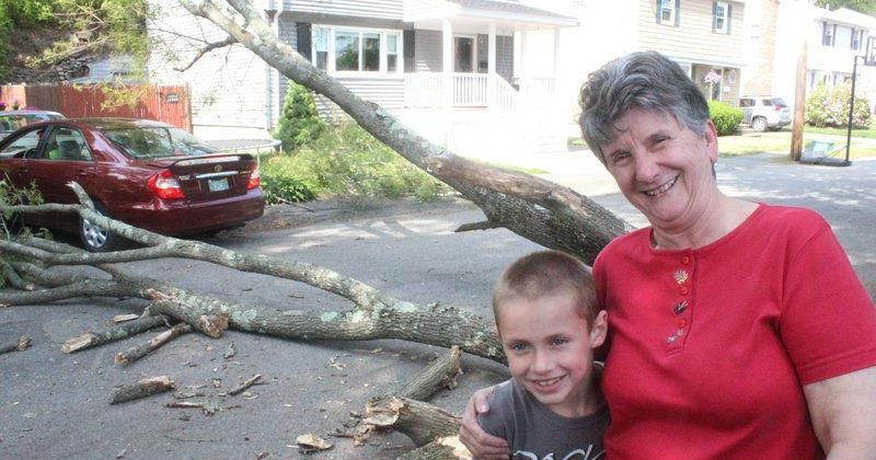 South Peabody man survives after tree falls around him | Local News ...
