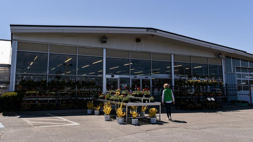 Planning Board approves redevelopment of Kane's Flower World into car dealerships News