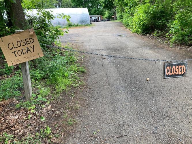Marblehead woman ID'd as driver in fatal crash News