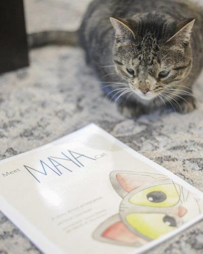 Meet Maya Cat: A Story about Acceptance [Book]