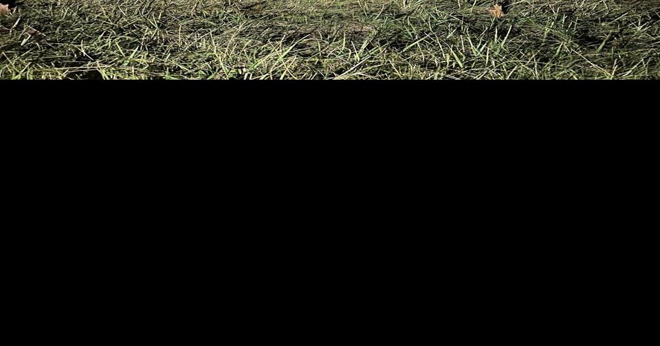 2 seriously injured after Topsfield crash with rollover, ejection