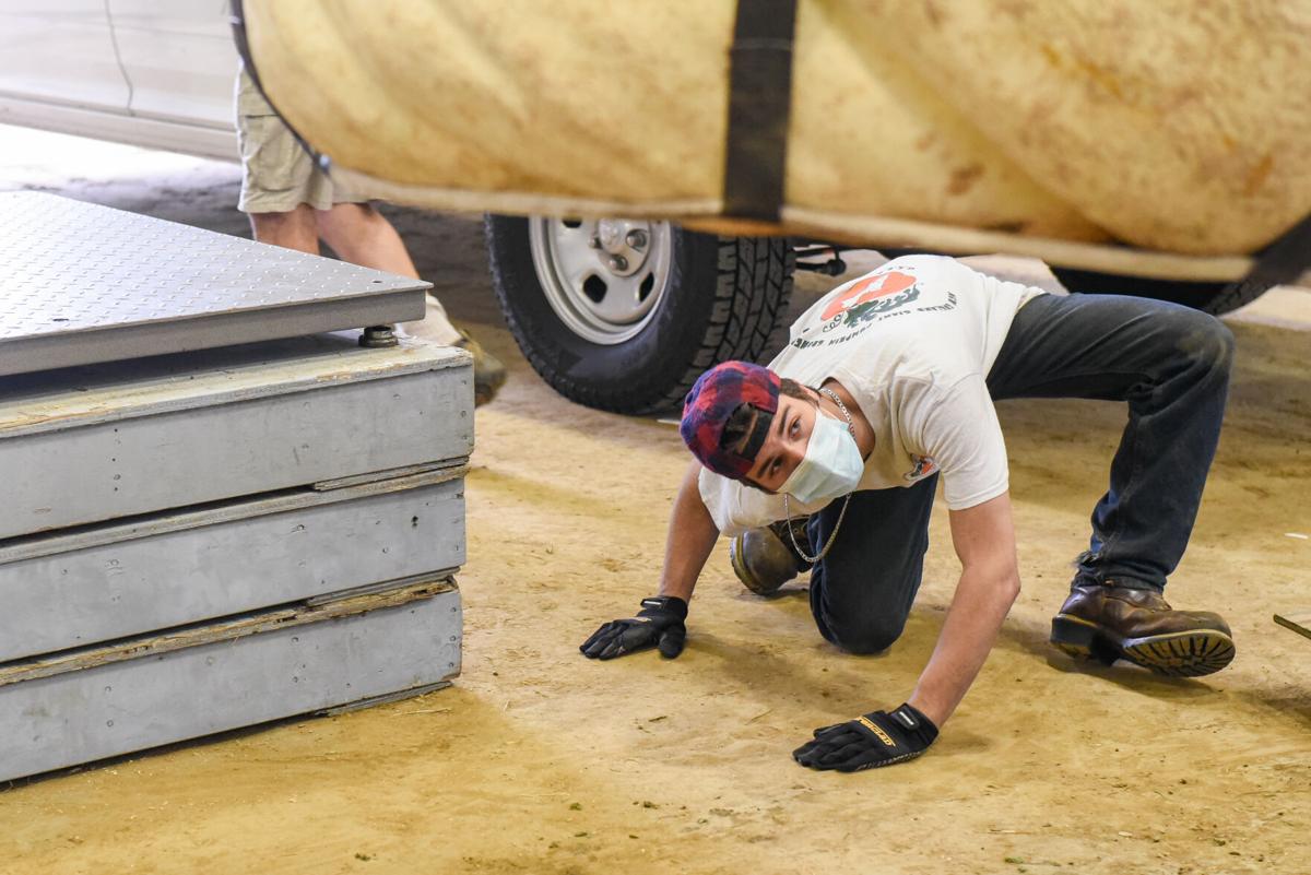 The New England Giant Pumpkin Weigh-Off