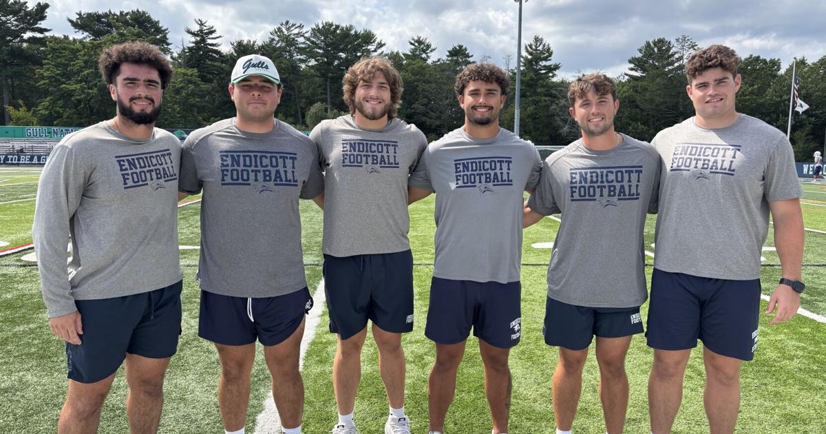 Endicott football season preview: Gulls looking to soar to even greater heights