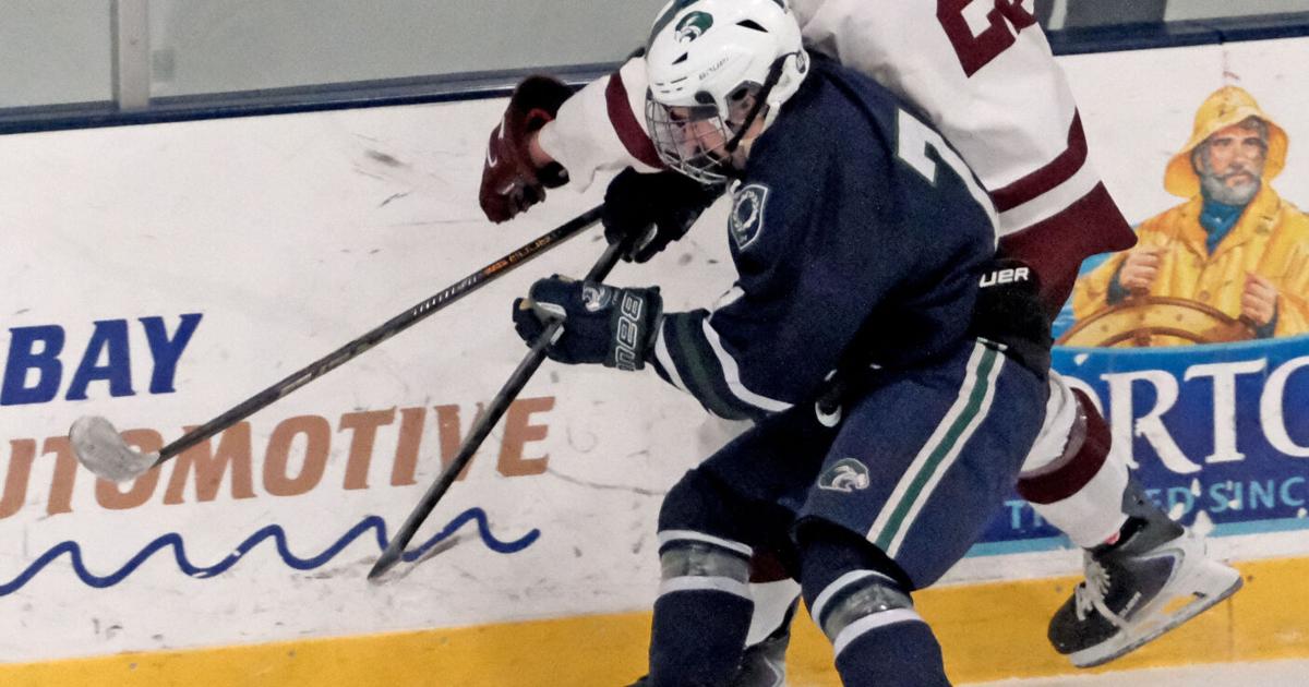 The Blue Line Report: What our area hockey teams need to do in the ...