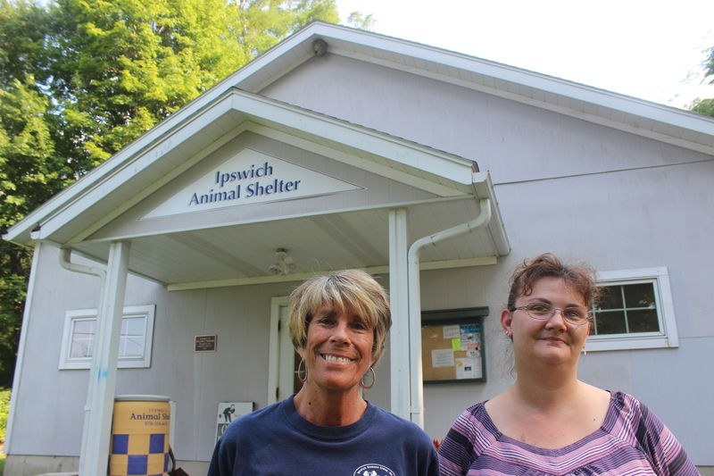 Ipswich Animal shelter is looking to expand Local News